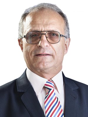 Vasile Cocoş