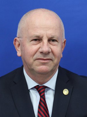 Vasile Gudu