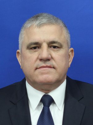 Dumitru Mihalescul