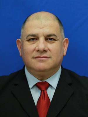 George Şişcu